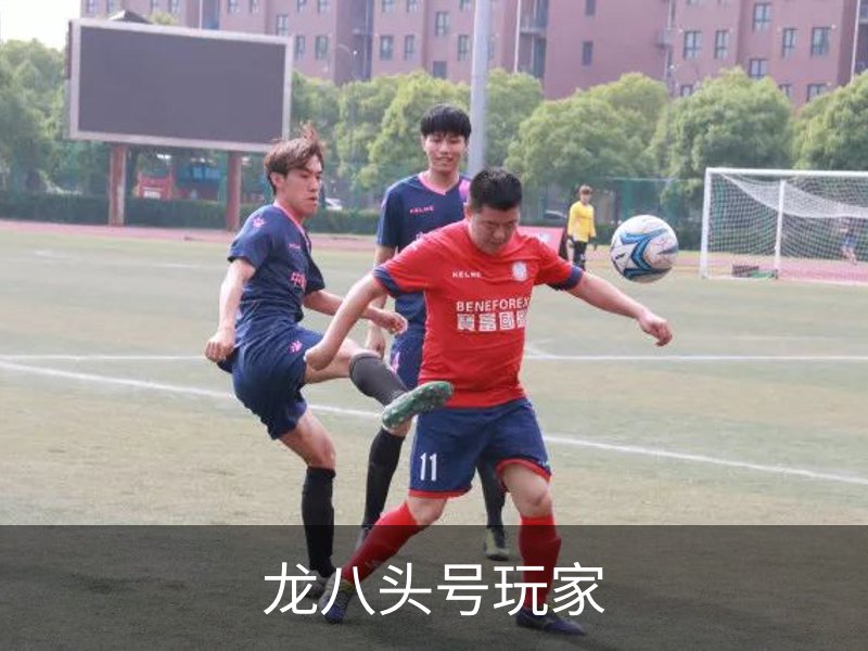 关于龙八头号玩家